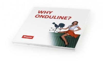 В «anno domini design group» изготовили книги по заказу компании «ONDULINE»