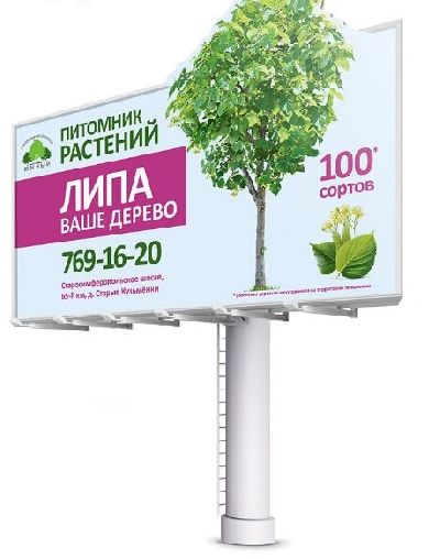 Студия «ЦЭТИС» разработала серию билбордов для питомника декоративных растений «Южный»