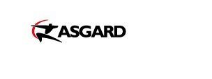    ASGARD    Logolounge Master Library 3, Shapes and Simbols Logos