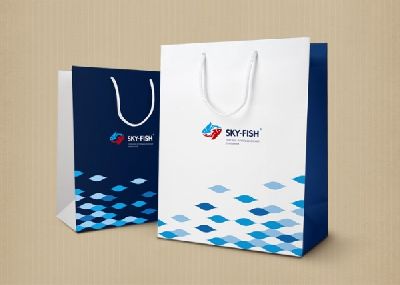 Агентство «FRONT:DESIGN» разработало элементы бренд-комплекса компании «Sky-Fish»