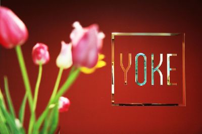 В «Vitamin Group» разработали фирменный стиль интерьерного центра «YOKE»
