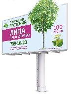 Студия «ЦЭТИС» разработала серию билбордов для питомника декоративных растений «Южный»