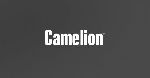 Агентство «Остров Свободы» разработало визуальную стратегию и дизайн упаковки международного бренда «Camelion» (08.02.2013)