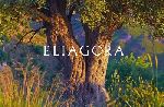          ELIAGORA (12.07.2014)
