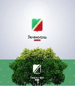 Брендинговое агентство «Скиллпоинт» предложило концепцию логотипа и брендинга ЗЕЛЕНОГРАДА (21.01.2015)