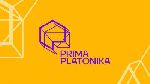 В брендинговом агенстве UPRISE разработан логотип и фирменный стиль для детского образовательного центра PRIMA PLATONIKA