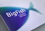 «Брендсон» создан визуальный образ «Bigfish» новой компании холдинга «Анкор»